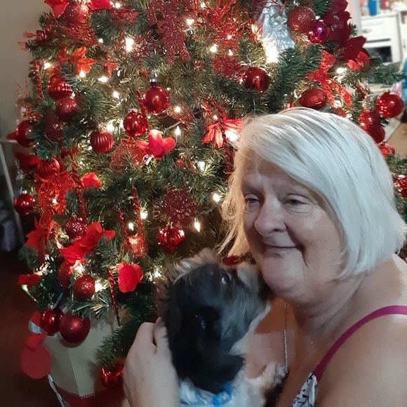 Meet your Posher, Patsy - Picture 1 of 1